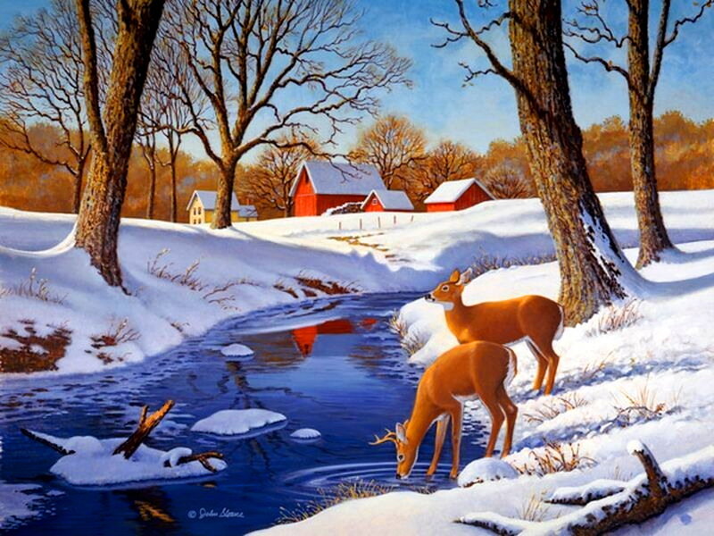 Deer Drinking Water — Blue
