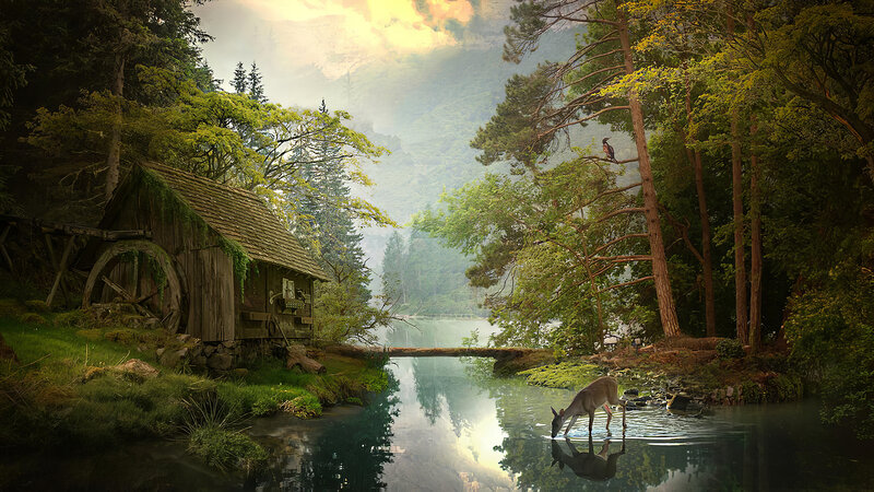 Deer Drinking Water — Green, Serene