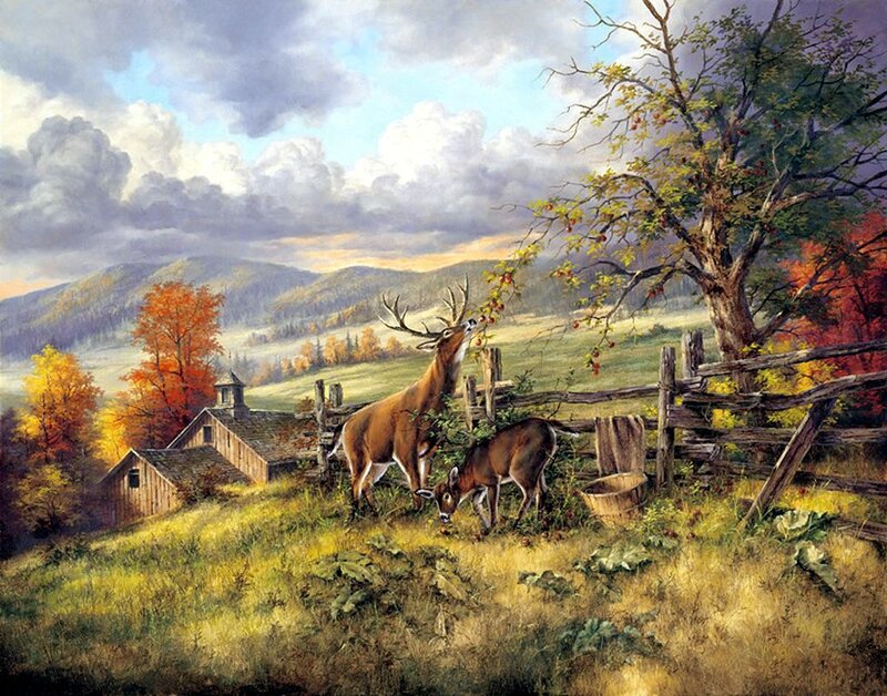 Deer Eating Apples