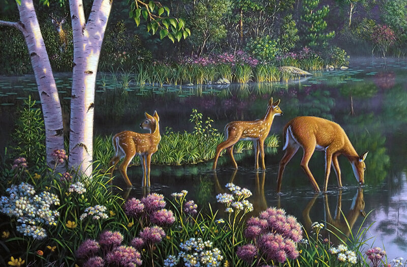 Deer Family at Pond