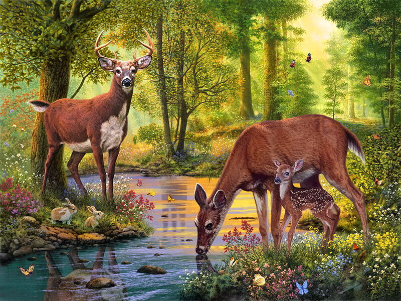Deer Family at Stream