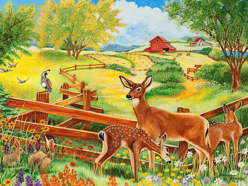 Deer Family in Field — Green