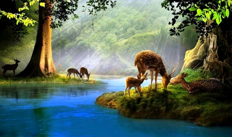 Deer Family in Forest — Blue, Serene