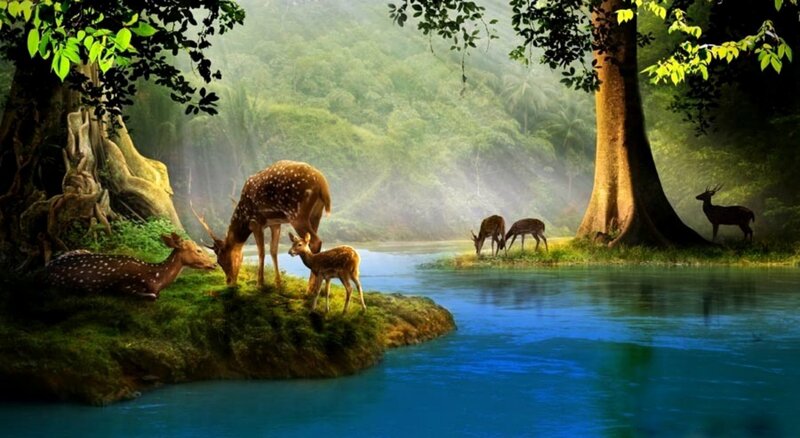Deer Family in Forest — Blue