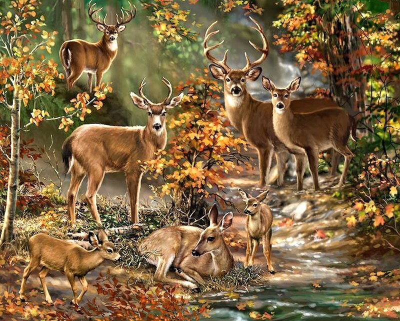 Deer Family in Forest — Brown, Serene, Autumn, Painting, Stream