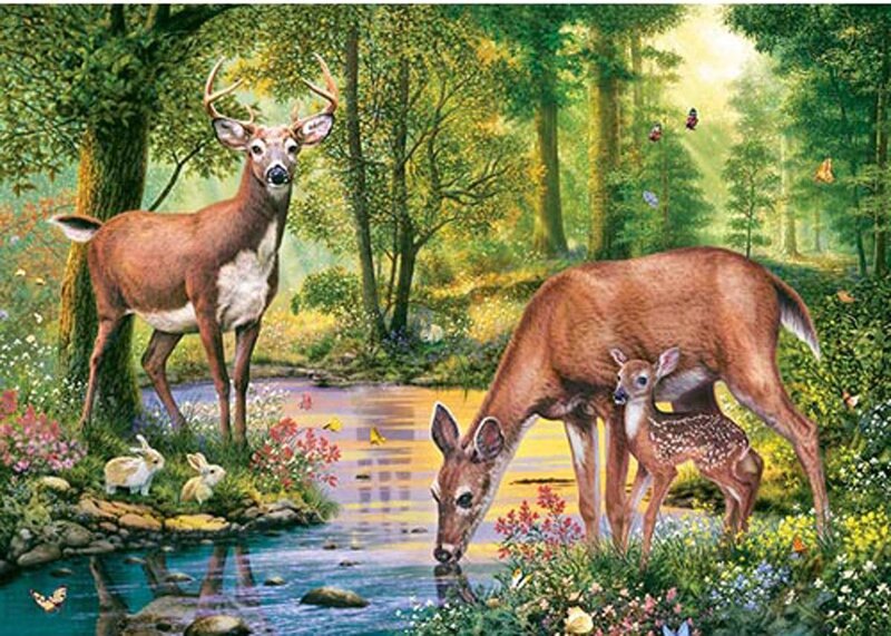 Deer Family in Forest — Green, Serene, Morning, Illustration
