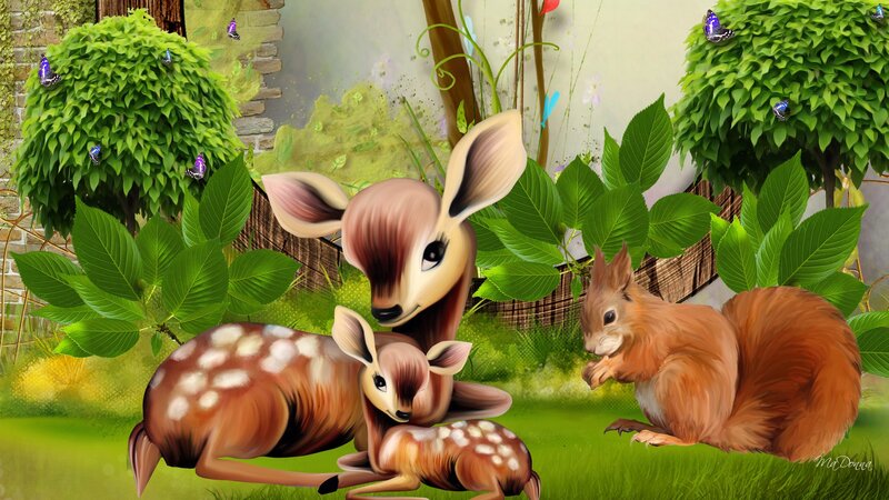 Deer Family in Garden