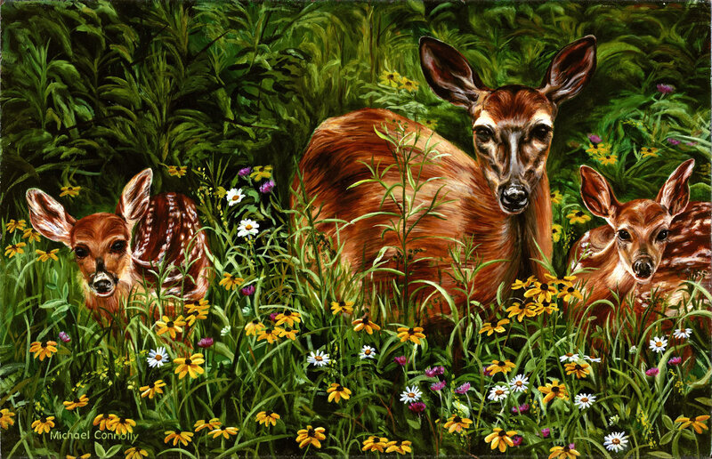 Deer family in wildflowers