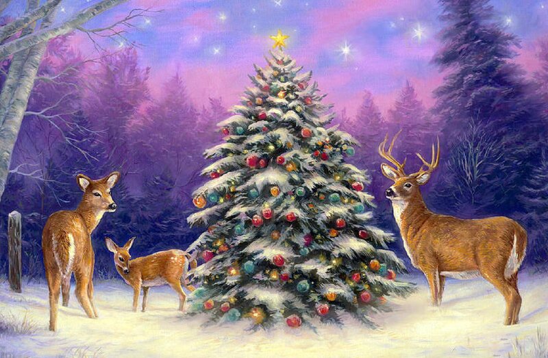 Deer Family Near Christmas Tree