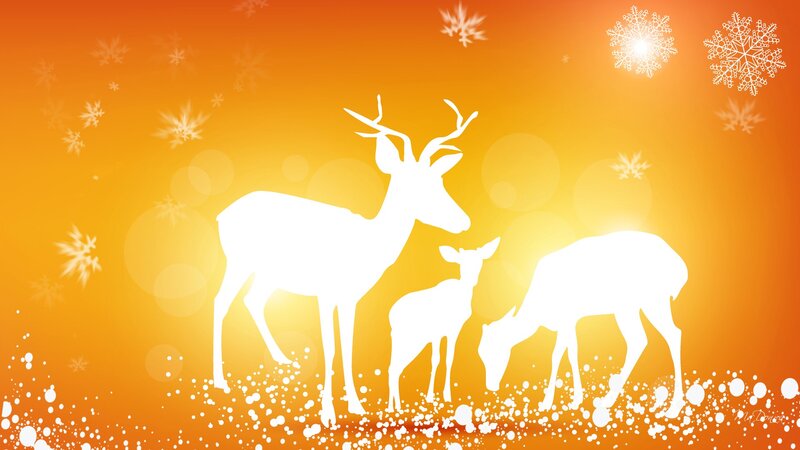 Deer Family Silhouette
