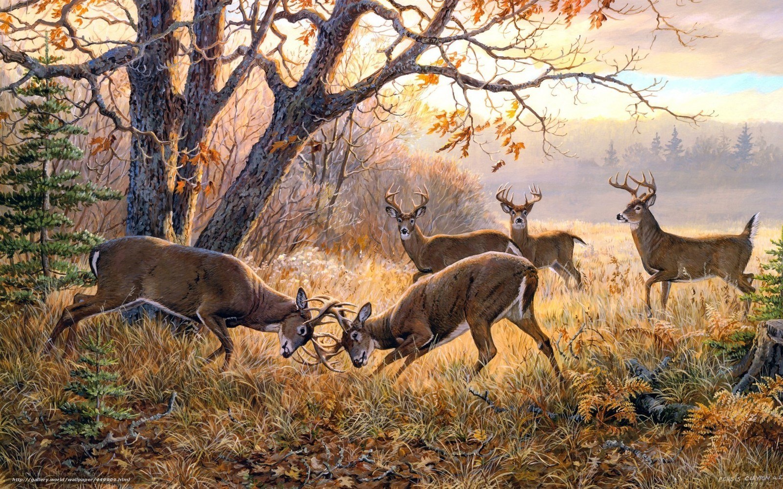 Deer fighting in autumn forest