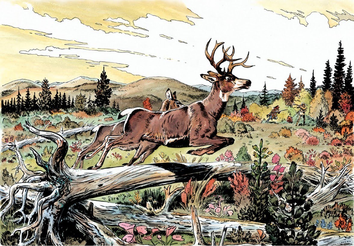 Deer fleeing hunters