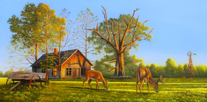 Deer Grazing in Field — Green, Serene, Morning