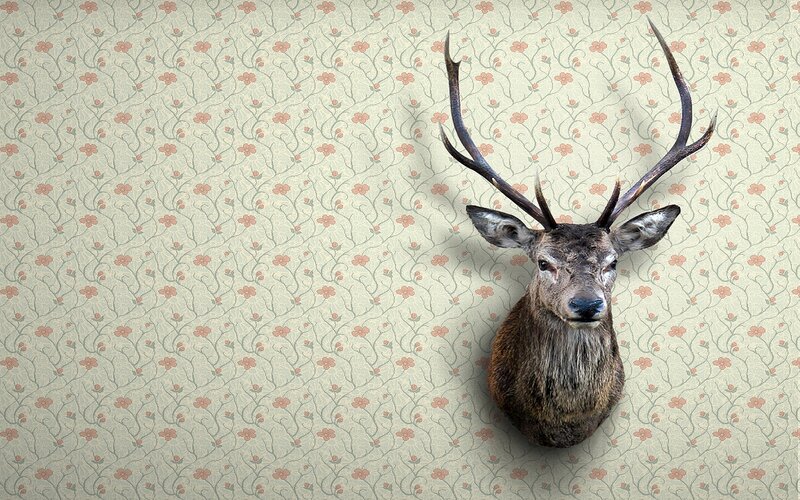 deer head mounted on floral wall