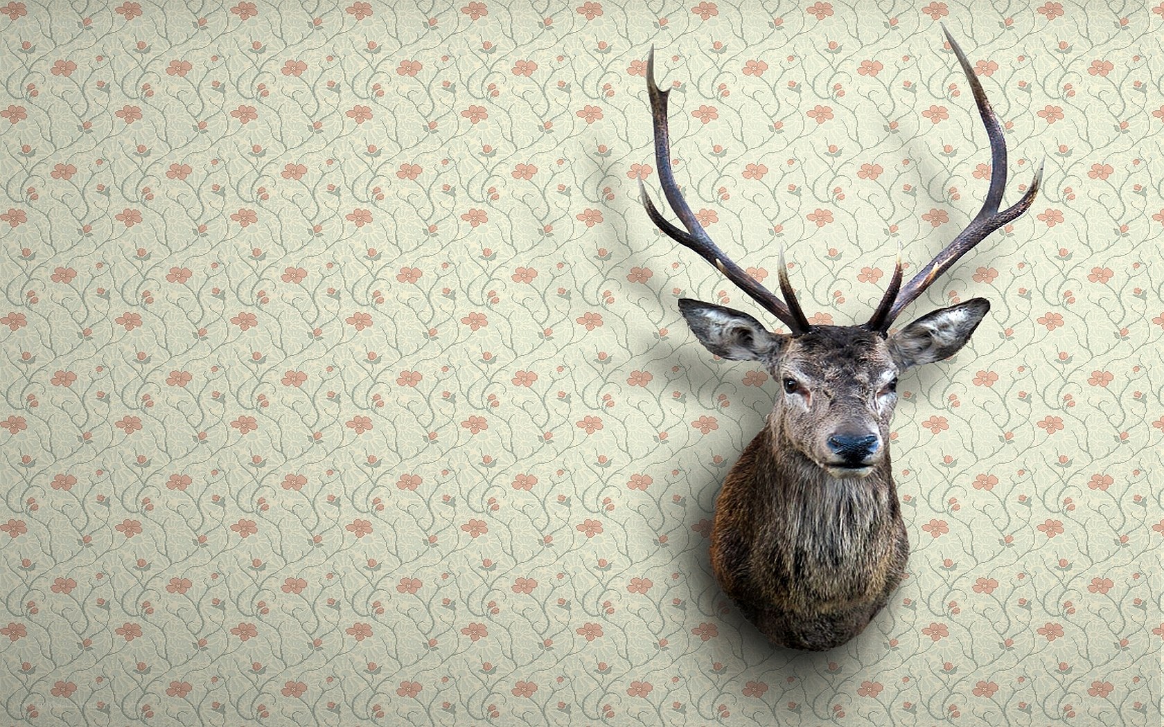 deer head mounted on floral wall
