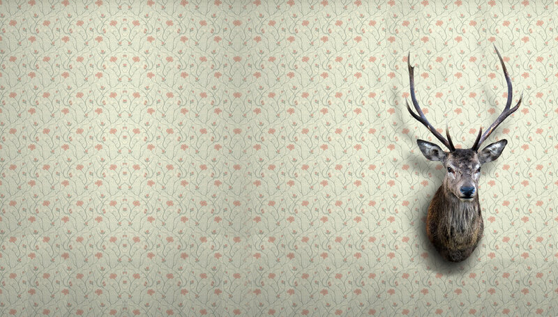 deer head on floral wallpaper