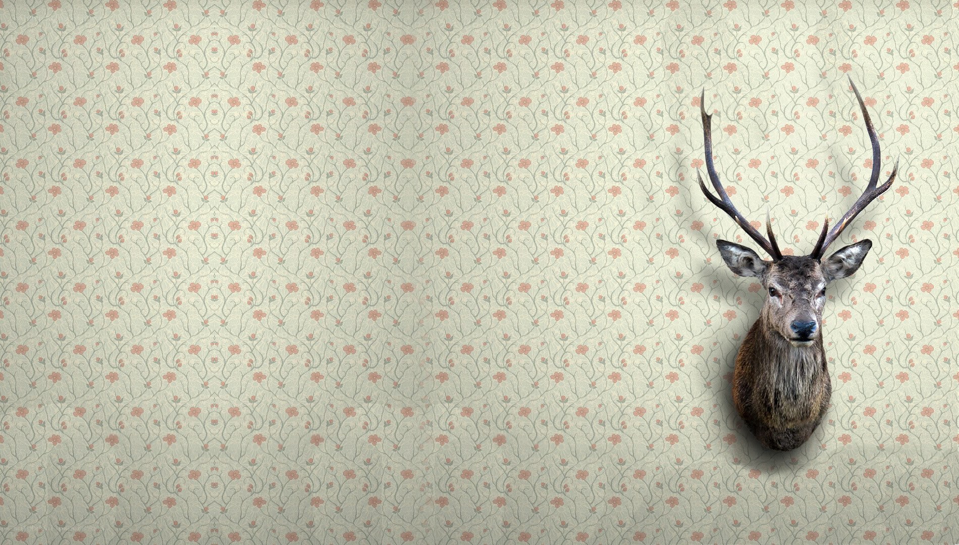 deer head on floral wallpaper