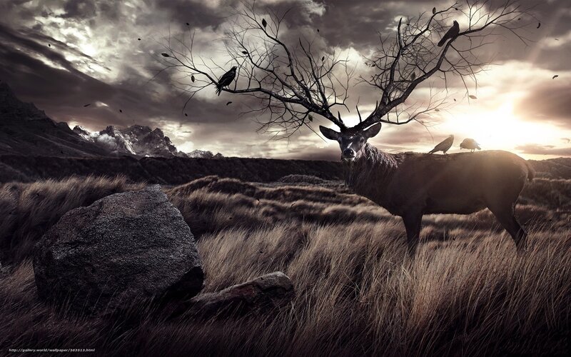 Deer in a barren landscape