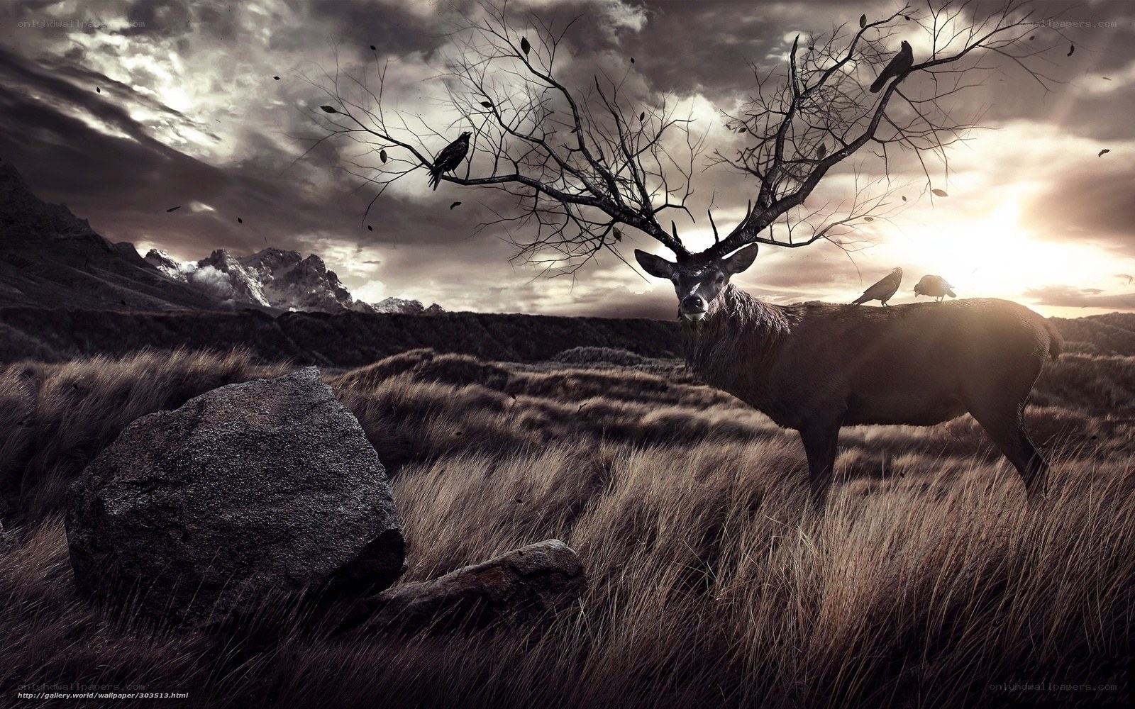 Deer in a barren landscape