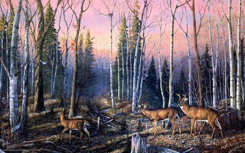 Deer in a birch forest