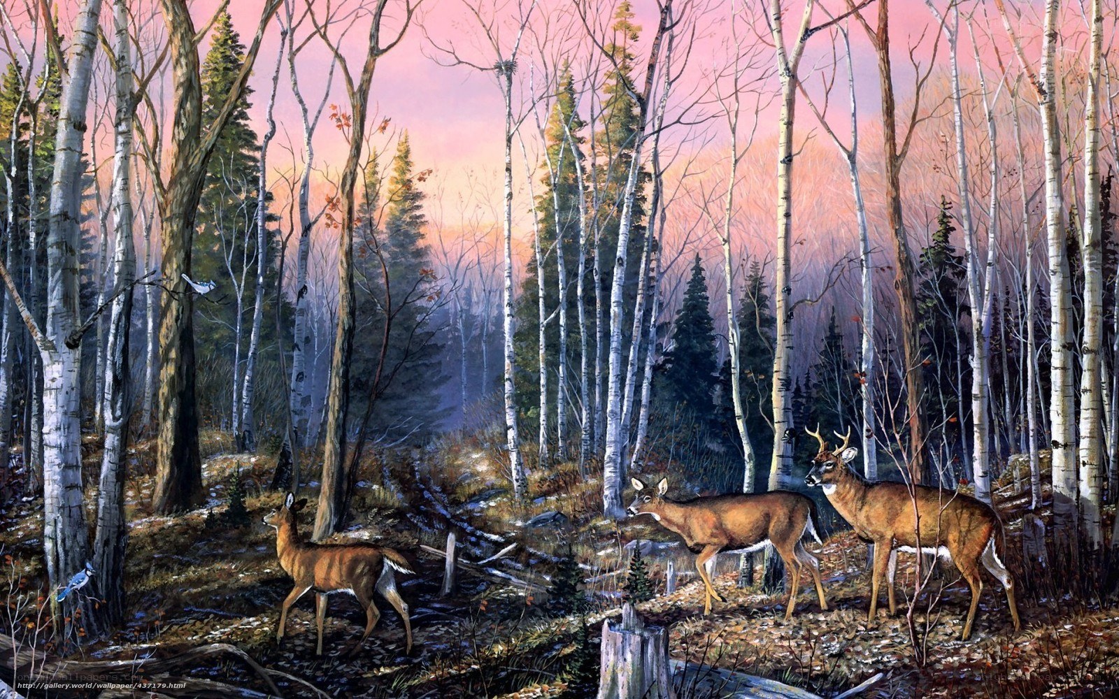 Deer in a birch forest