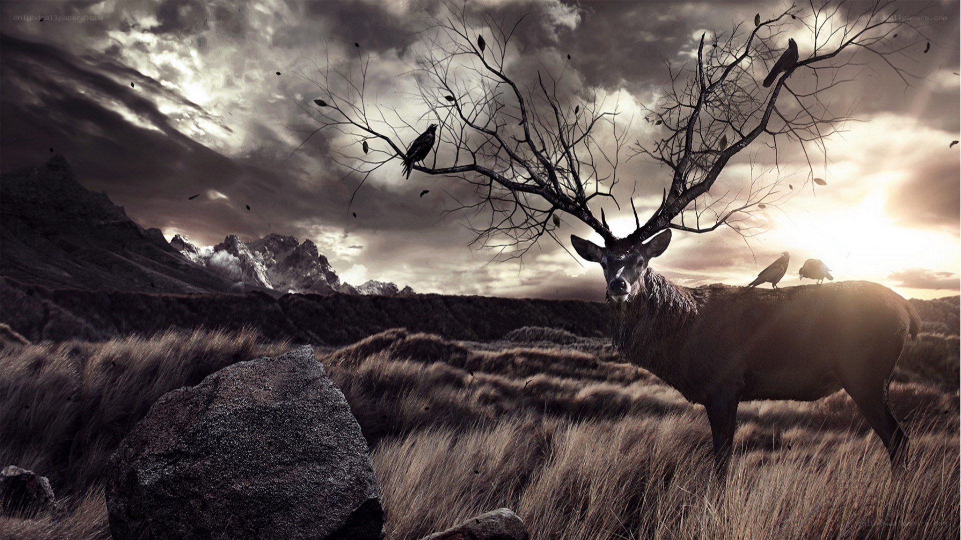 Deer in a desolate landscape