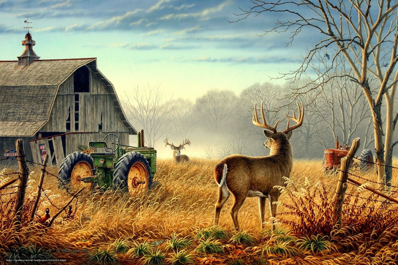 Deer in a Farm Field