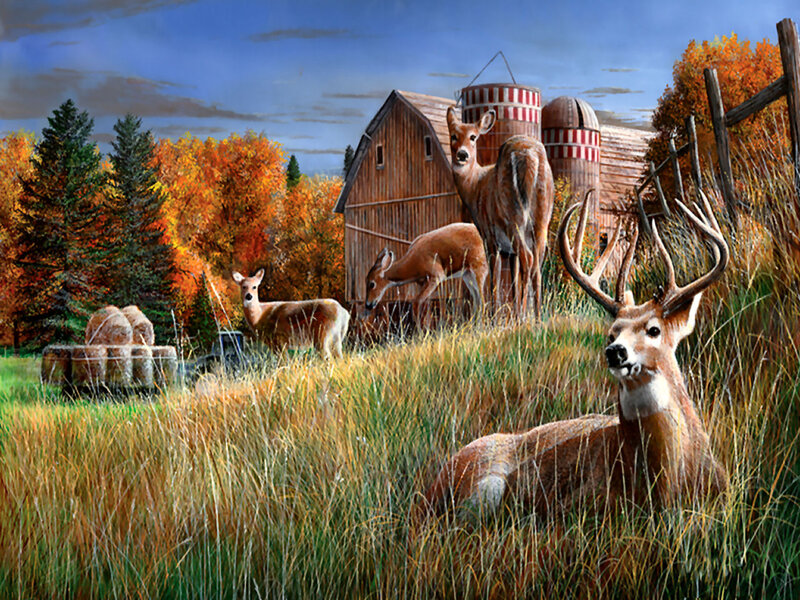 Deer in a Field — Brown, Serene, Autumn