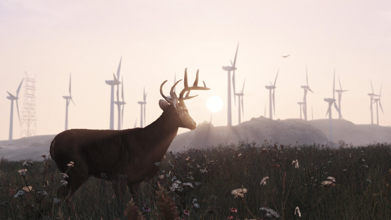 Deer in a Field — Brown, Serene, Sunset