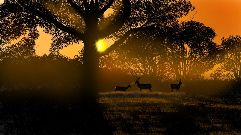 Deer in a Field — Orange, Serene, Sunset