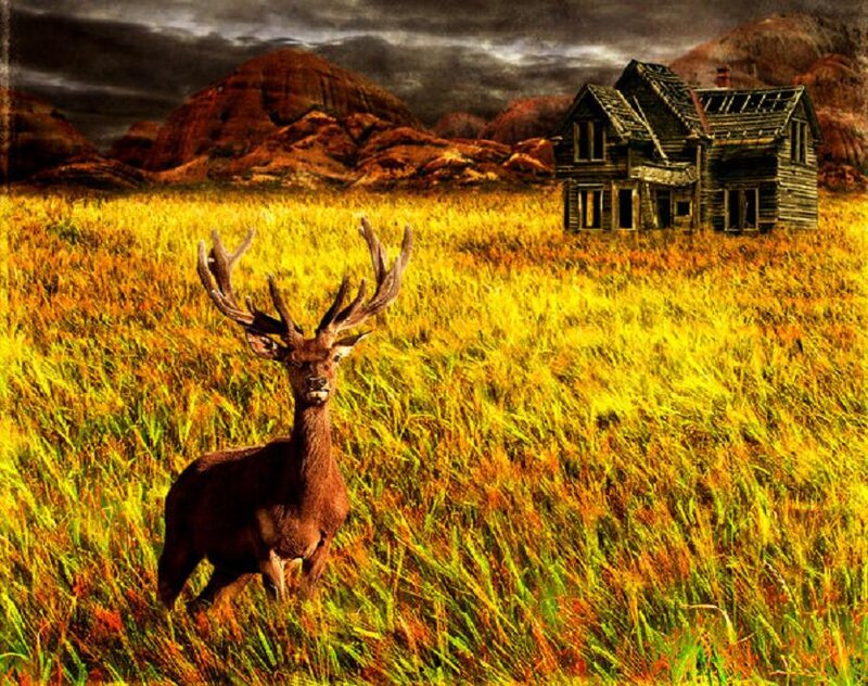 Deer in a Field — Yellow