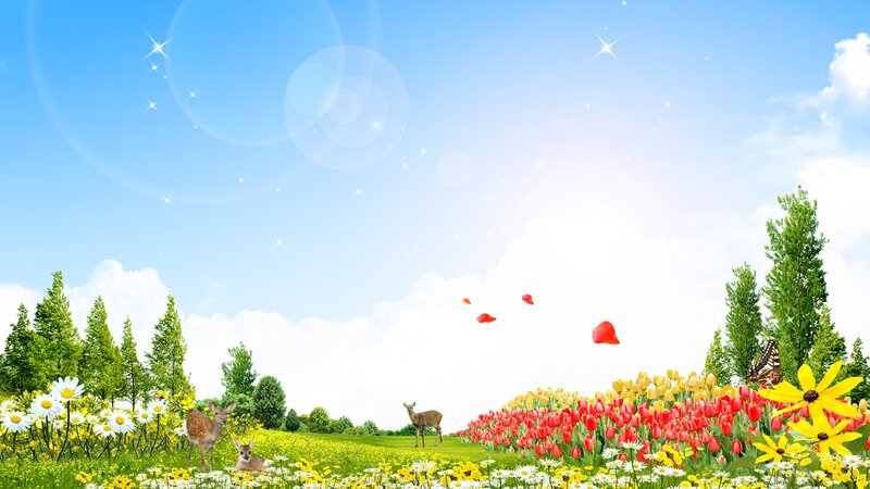 Deer in a Flower Field