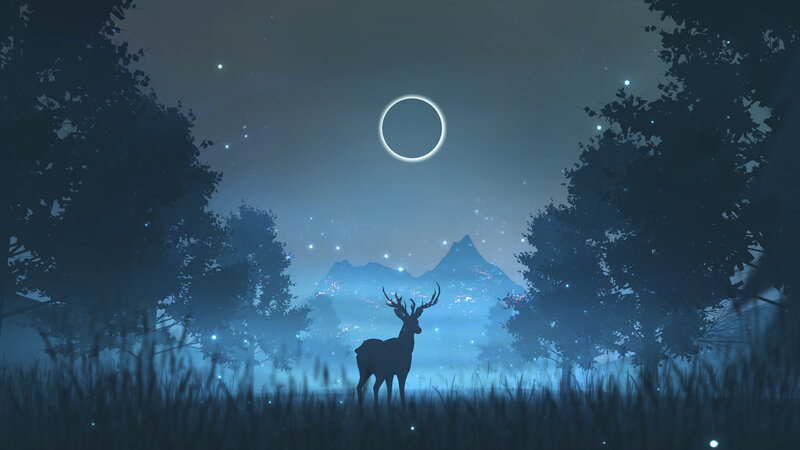 Deer in a Forest — Blue, Serene, Night