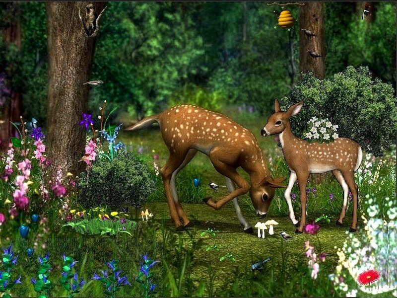 Deer in a forest clearing
