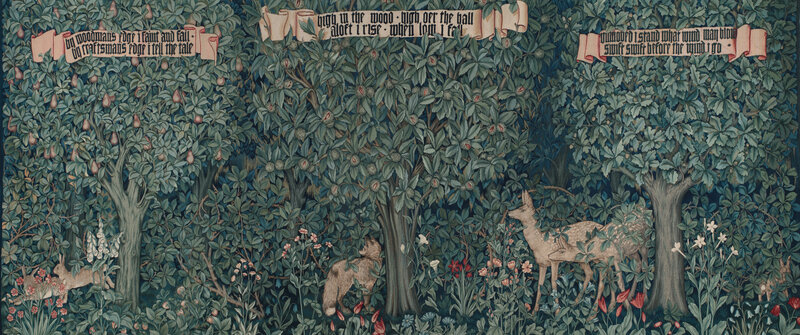 Deer in a Forest — Green, Serene, Illustration