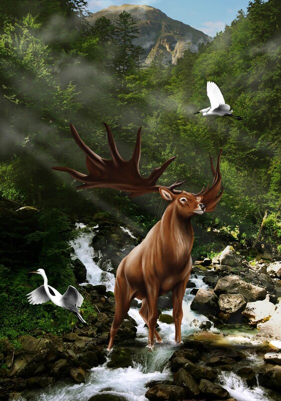 Deer in a forest stream