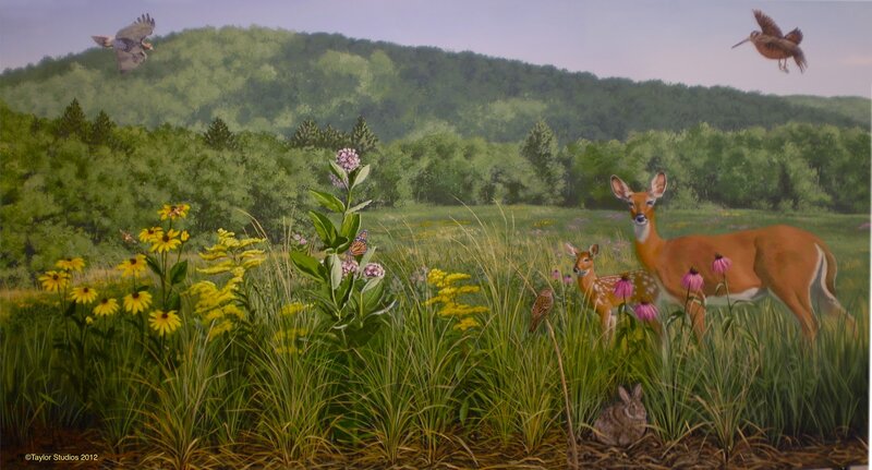 Deer in a Meadow — Green