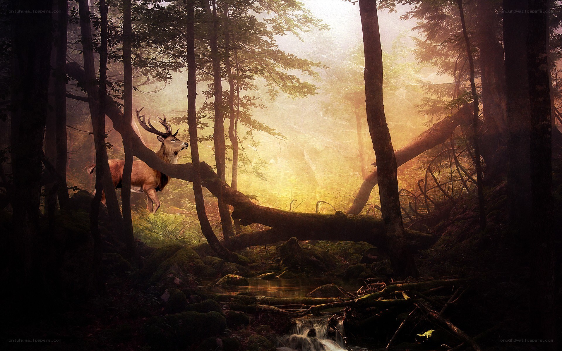 Deer in a misty forest