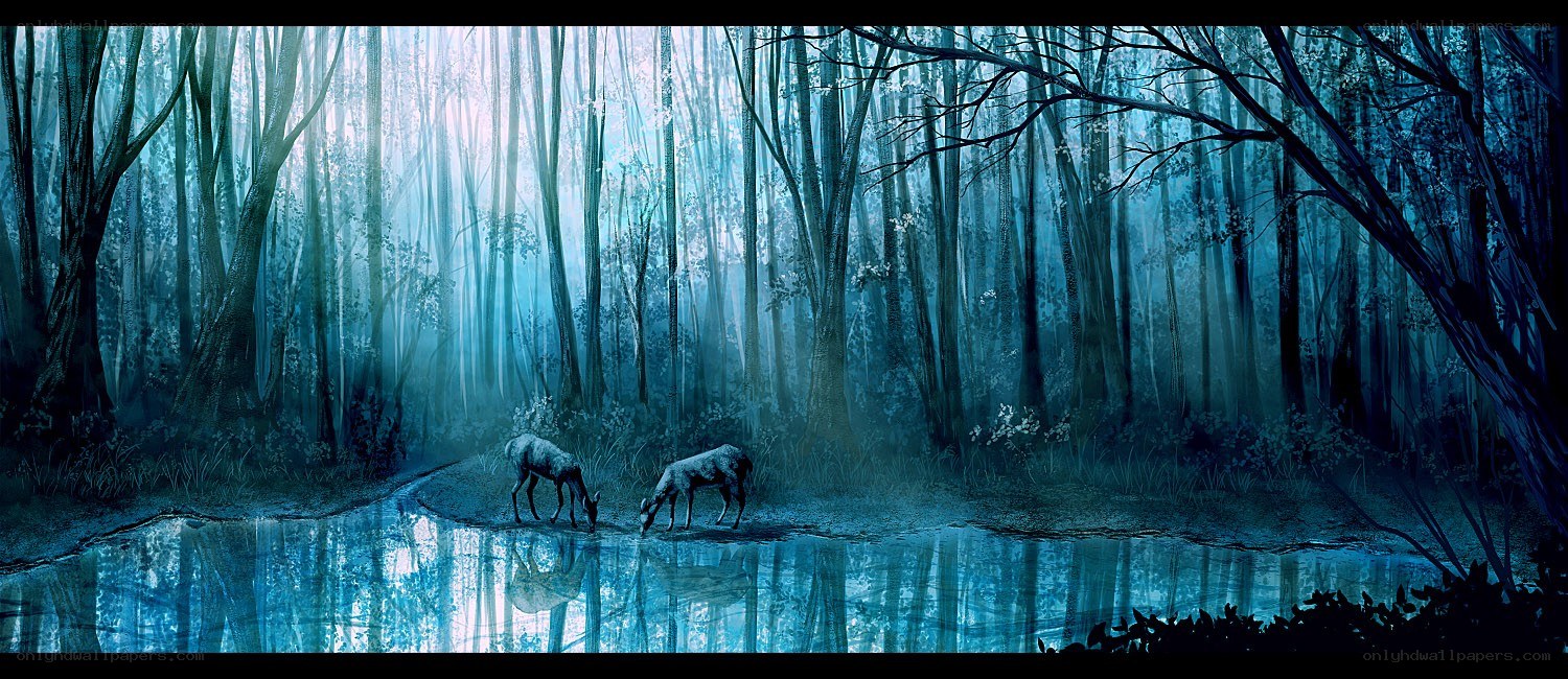 Deer in a misty forest