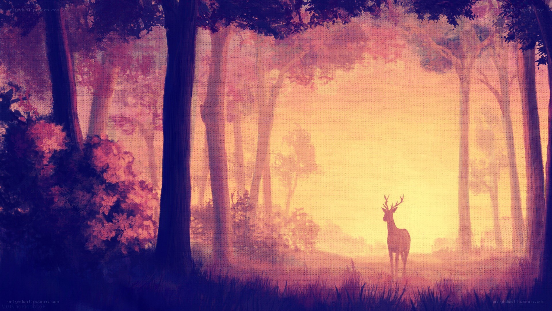 Deer in a misty forest