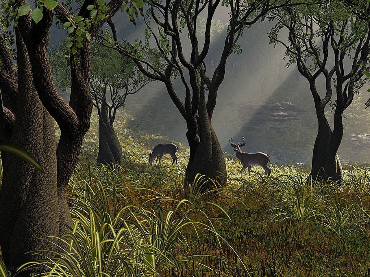 Deer in a misty forest