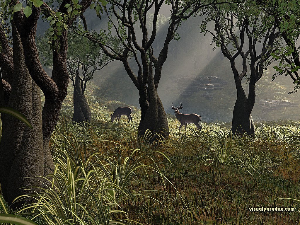 Deer in a misty forest