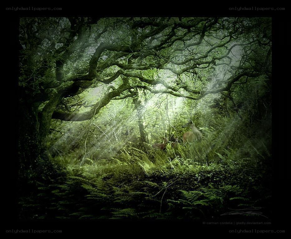 Deer in a misty forest