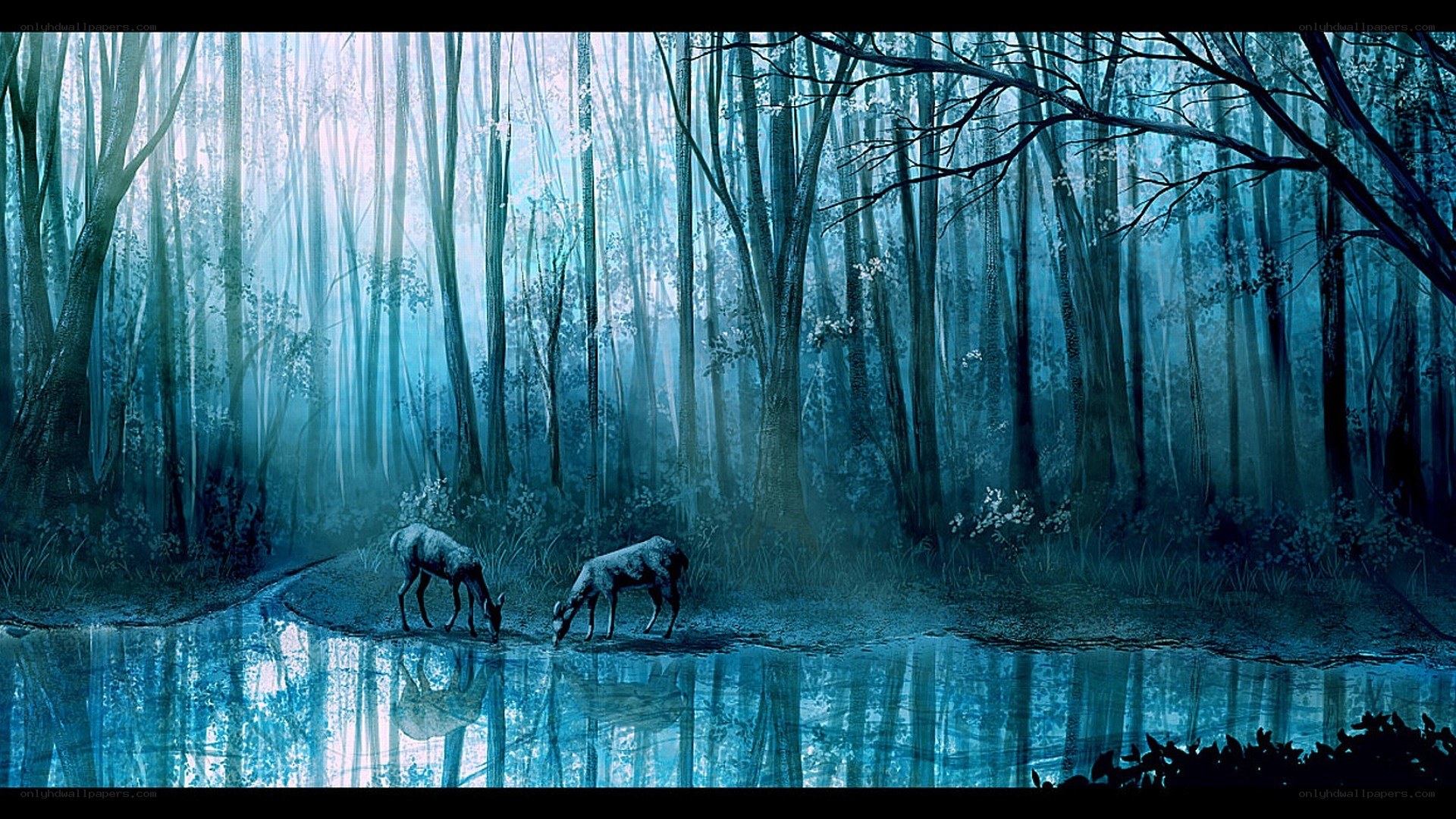 Deer in a misty forest