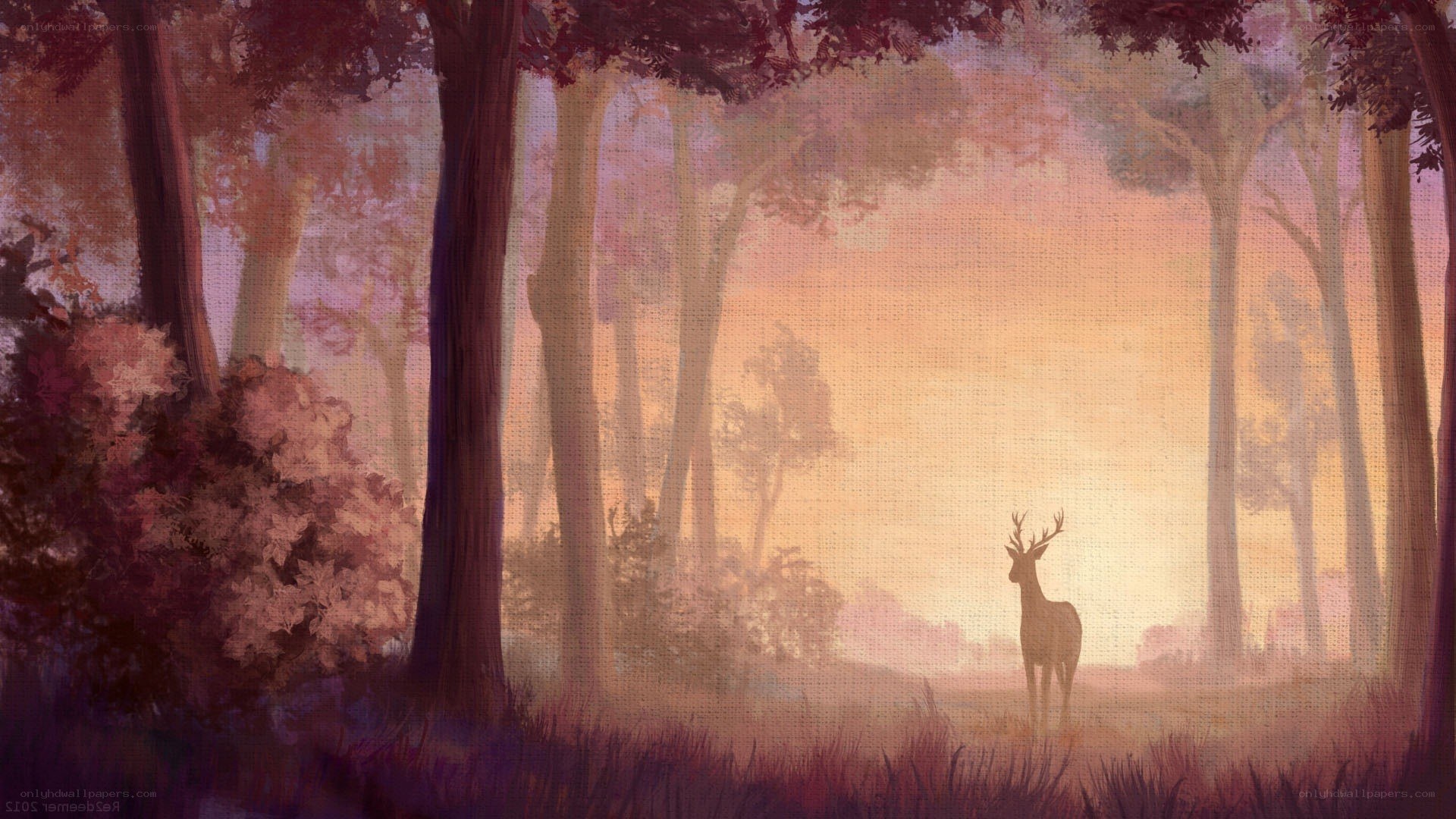 Deer in a misty forest