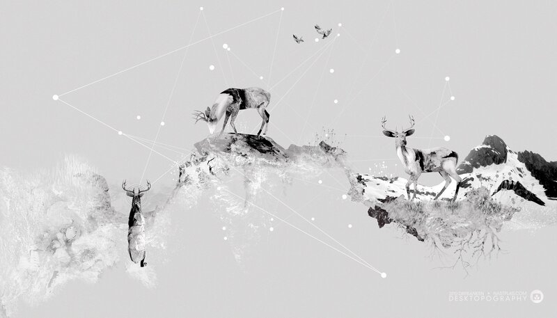 Deer in a networked landscape