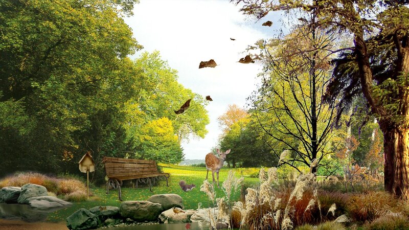 Deer in a Park