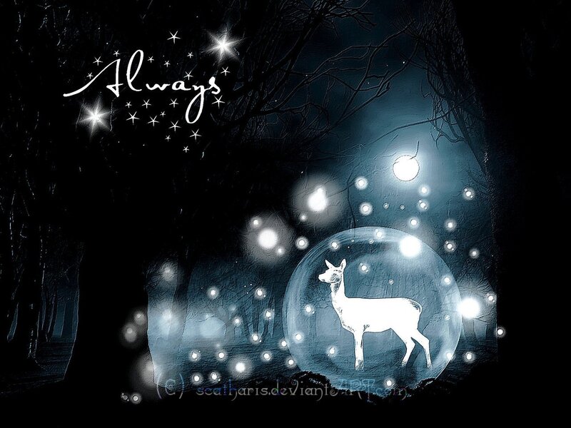 deer in a snow globe