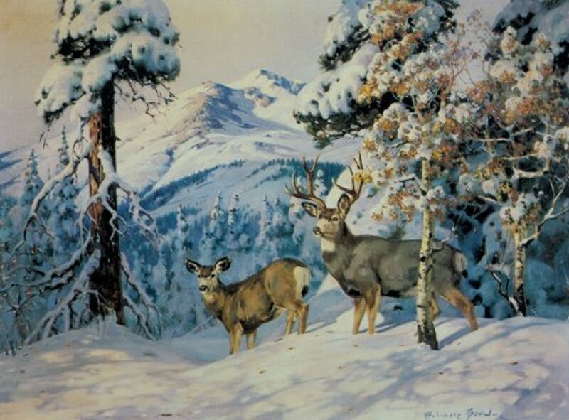 Deer in a snowy forest