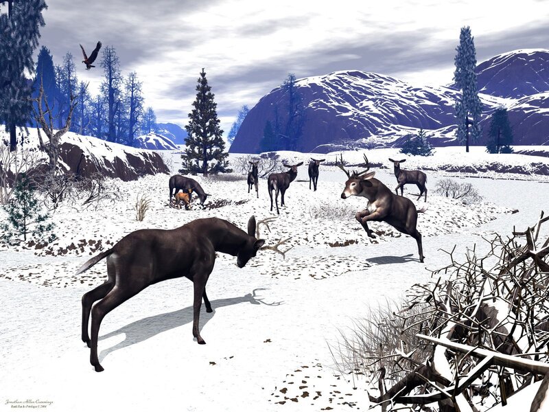 Deer in a snowy landscape